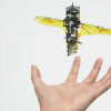 复制甲虫的翅膀以设计可以从空中碰撞中恢复的MAV