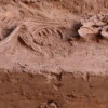 石家庄发现17座商代后期墓葬