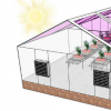 下一代温室可能完全由太阳能供电