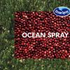 Ocean Spray与大自然开展合作新营销活动
