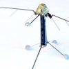 研究人员模仿昆虫ocelli建立光传感器来控制苍蝇大小的无人机