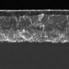 钙钛矿太阳能电池具有可重复性
