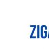 Zigazoo超过5万次安装 与TeacherTakeovers庆祝