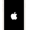 iPhone卡在Apple徽标上了吗 这是4种修复方法
