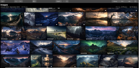流行的macOS照片编辑器Luminar 3推出了库 AI工具