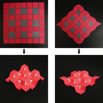 新技术使用模板来指导自折叠3D结构
