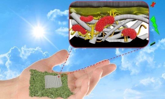 科学家们创造了可生物降解的纸质生物电池
