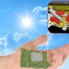 科学家们创造了可生物降解的纸质生物电池