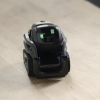 Anki的Vector 可爱的迷你机器人 正在获得Alexa