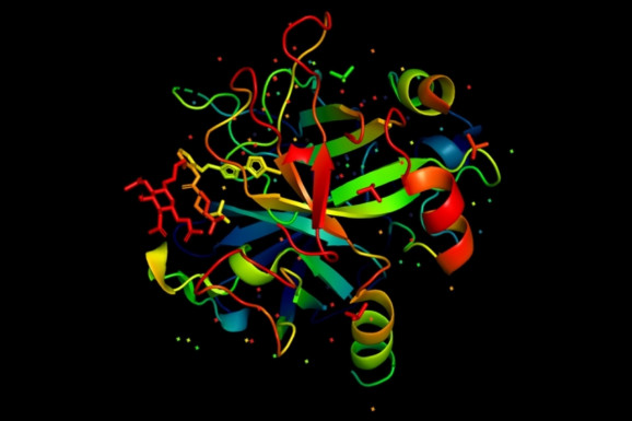 麻省理工学院CSAIL的AI预测蛋白质的功能来自氨基酸链