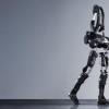 一个小腿机器人变成一个自主的交互式生物