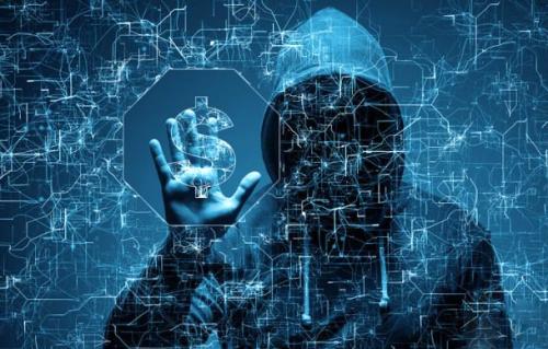 NAO抨击管理不善的国家网络安全计划