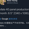 华为Mate40的屏幕将于本月开始生产