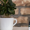 OnePlus 正在准备推出其下一代旗舰产品