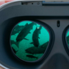 温哥华的Uninterrupted让你在VR中与鱼一起游泳