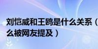 刘恺威和王鸥是什么关系(王鸥与刘恺威为什么被网友提及)