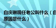 白庆琳现任老公叫什么(白庆琳与前夫离婚的原因是什么)