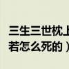 三生三世枕上书阿兰若梦境是怎么回事（阿兰若怎么死的）