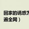 回家的诱惑为什么这么火（一句你骚啊迅速火遍全网）