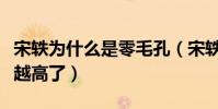 宋轶为什么是零毛孔(宋轶的人气为什么越来越高了)