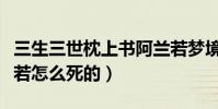 三生三世枕上书阿兰若梦境是怎么回事(阿兰若怎么死的)