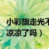 小彩旗走光不道歉网友谴责（童星小彩旗真的凉凉了吗）