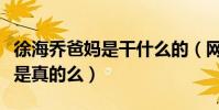 徐海乔爸妈是干什么的(网曝徐海乔家世强大是真的么)