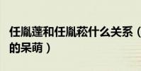 任胤蓬和任胤菘什么关系(任胤蓬的颜值非常的呆萌)