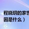 程晓玥的家世背景很深厚吗（她与郑恺分手原因是什么）