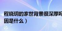 程晓玥的家世背景很深厚吗(她与郑恺分手原因是什么)