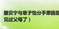 撒贝宁与章子怡分手原因是什么(两人曾经都见过父母了)