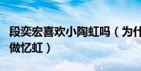 段奕宏喜欢小陶虹吗(为什么他的名字谐音叫做忆虹)