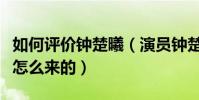 如何评价钟楚曦(演员钟楚曦霸王花的称号是怎么来的)
