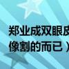 郑业成双眼皮是割的吗（他的双眼皮只是长得像割的而已）