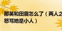 那英和田震怎么了(两人之间分歧很多后者曾怒骂她是小人)