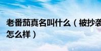 老番茄真名叫什么(被抄袭的老番茄实力究竟怎么样)