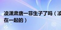 凌潇肃唐一菲生子了吗(凌潇肃和唐一菲怎么在一起的)
