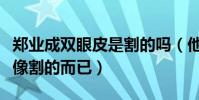 郑业成双眼皮是割的吗(他的双眼皮只是长得像割的而已)