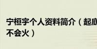 宁桓宇个人资料简介(起底快男宁桓宇为什么不会火)