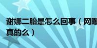 谢娜二胎是怎么回事(网曝谢娜已经怀孕这是真的么)
