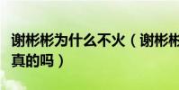 谢彬彬为什么不火(谢彬彬与阚清子的恋情是真的吗)