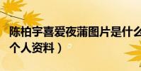陈柏宇喜爱夜蒲图片是什么梗(起底陈柏宇的个人资料)