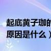起底黄子珈的个人资料（黄子珈与赵胤胤分手原因是什么）