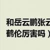 和岳云鹏张云雷比为什么张鹤伦不会再火（张鹤伦厉害吗）