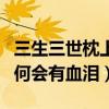 三生三世枕上书魔尊血泪是什么（凤尾花中为何会有血泪）