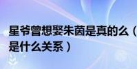 星爷曾想娶朱茵是真的么(朱茵和周星驰曾经是什么关系)
