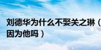 刘德华为什么不娶关之琳(关之琳至今未婚是因为他吗)