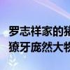 罗志祥家的猪现在怎么样了（迷你小粉猪变身獠牙庞然大物）