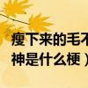 瘦下来的毛不易是什么样子（毛不易成颜值男神是什么梗）