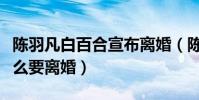 陈羽凡白百合宣布离婚(陈羽凡与白百何为什么要离婚)